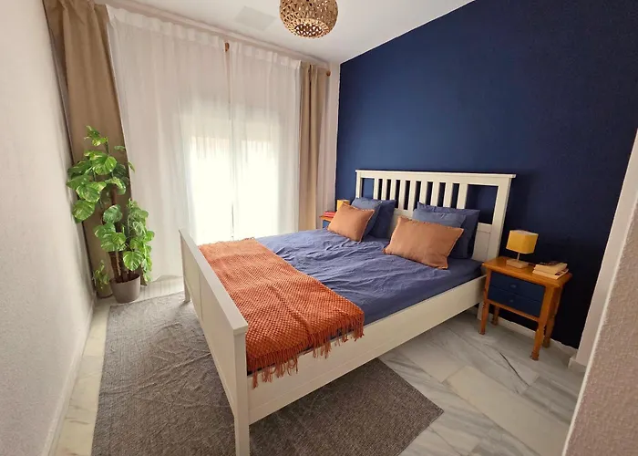 Seanest * Torrevieja